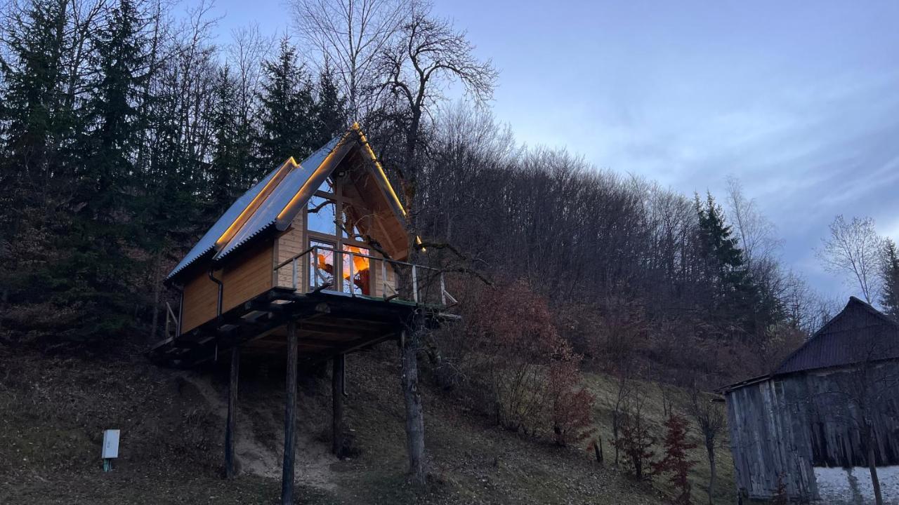 Tree House - Tara Place Mojkovac Exterior foto